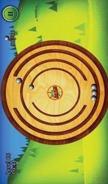 Roll the Ball: King Maze 3D游戏截图4