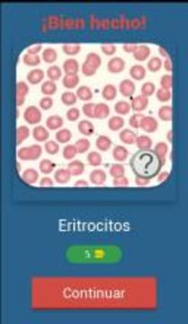 Quiz de Hematología游戏截图2