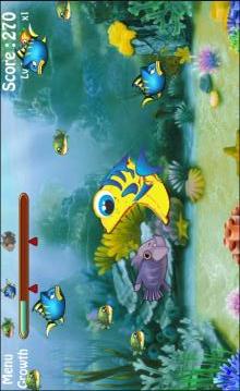 Big Fish Eat Small Fish游戏截图4