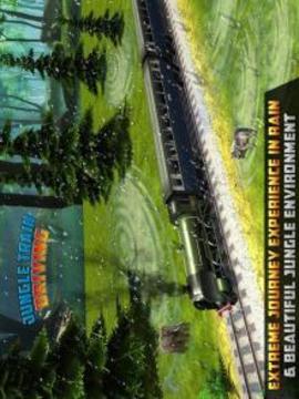 F喔rest Train Driver Si穆拉特or游戏截图4