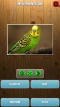 Guess animal or plant游戏截图3