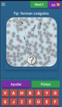 Quiz de Hematología游戏截图4