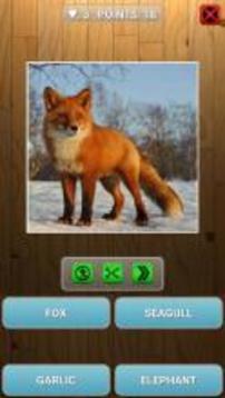 Guess animal or plant游戏截图5