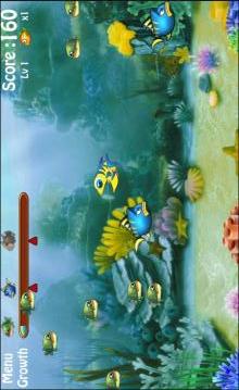 Big Fish Eat Small Fish游戏截图3