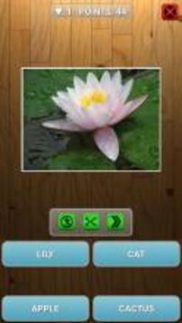 Guess animal or plant游戏截图2