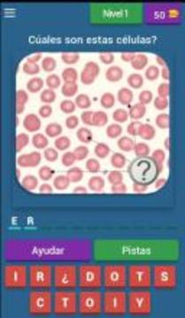 Quiz de Hematología游戏截图1