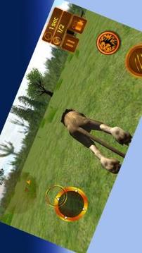 3D Lion Attack Sim游戏截图2