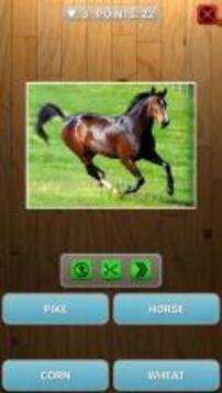 Guess animal or plant游戏截图4