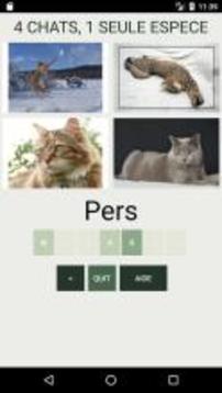 Quiz de culture générale sur les chats游戏截图4