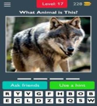Animals Quiz Guess the Animals游戏截图1