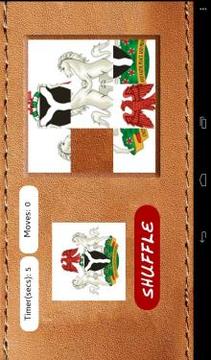 Naija COA Puzzle游戏截图3