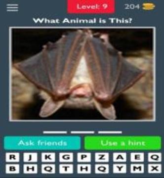 Animals Quiz Guess the Animals游戏截图5