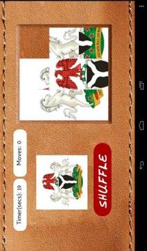 Naija COA Puzzle游戏截图2