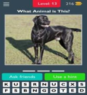 Animals Quiz Guess the Animals游戏截图3