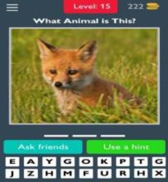 Animals Quiz Guess the Animals游戏截图2