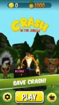 Crash Run: Lost Temple Jungle Dash游戏截图3