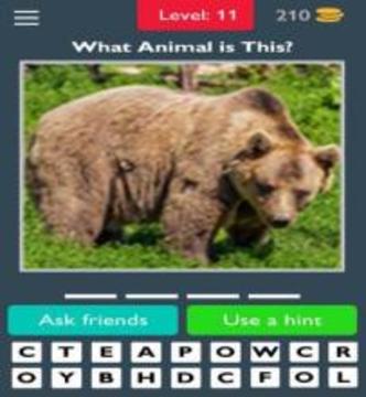 Animals Quiz Guess the Animals游戏截图4