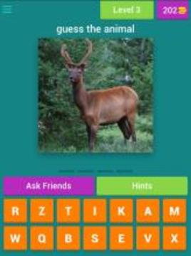 guess the animal : for kids游戏截图2