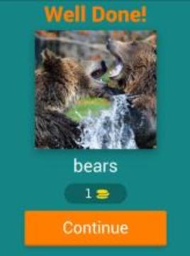 guess the animal : for kids游戏截图4