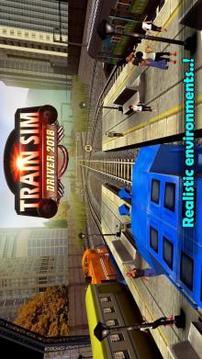 Train Sim Driver 2018 2 Player游戏截图2