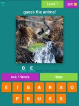 guess the animal : for kids游戏截图5