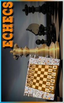 Échecs - Chess Pro / Free游戏截图3