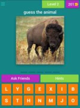 guess the animal : for kids游戏截图3