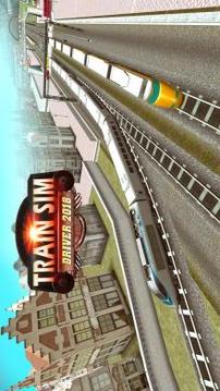 Train Sim Driver 2018 2 Player游戏截图1