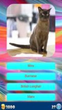 Cat Breeds - Identify Your Cat游戏截图2