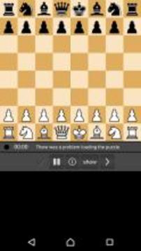 Chess Pro游戏截图4
