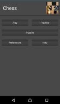 Chess Pro游戏截图2