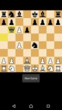 Chess Pro游戏截图5