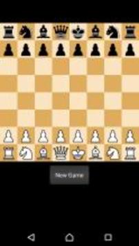 Chess Pro游戏截图3