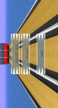 Bowling Multiplayer 3D游戏截图5