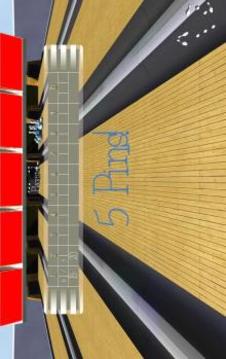 Bowling Multiplayer 3D游戏截图2