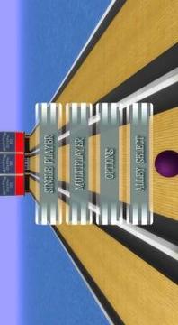 Bowling Multiplayer 3D游戏截图4