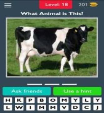 Best Animals Quiz游戏截图5