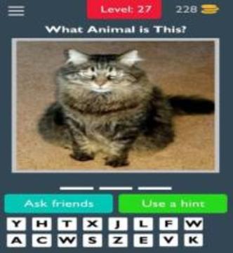 Best Animals Quiz游戏截图3