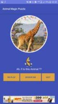 Animal Magic Puzzle游戏截图4