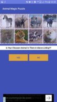 Animal Magic Puzzle游戏截图3