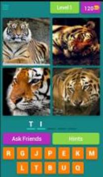 4 Pics 1 Animal - Guess the Animal游戏截图1