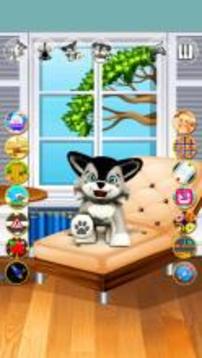 Talking Dog Husky Puppy游戏截图2