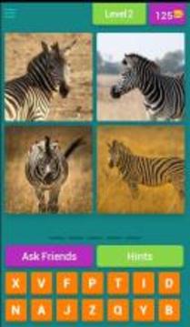 4 Pics 1 Animal - Guess the Animal游戏截图3