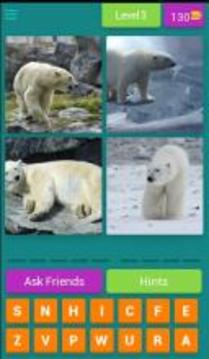 4 Pics 1 Animal - Guess the Animal游戏截图4