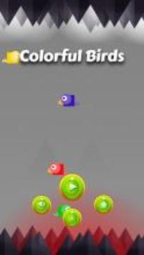 Colorful Birds游戏截图1