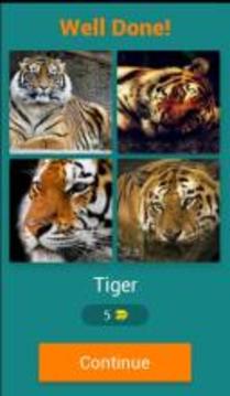 4 Pics 1 Animal - Guess the Animal游戏截图2