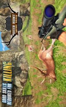 Deer Hunt Safari Sniper Animals Hunter游戏截图2