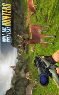 Deer Hunt Safari Sniper Animals Hunter游戏截图1