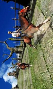 Jungle Horse Run游戏截图2