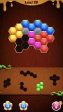 Amazing Hexa Block - Solve the puzzle游戏截图2